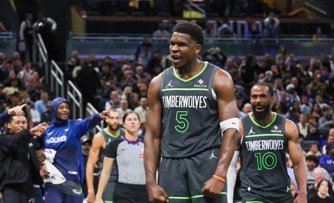 九游体育-明尼苏达森林狼队